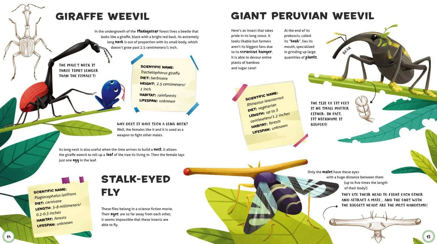 Weird and Wonderful Animals Sterling Publishing