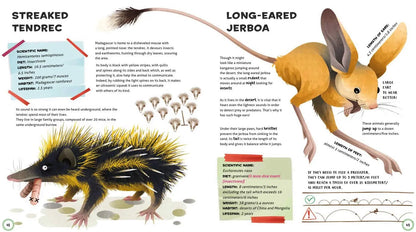 Weird and Wonderful Animals Sterling Publishing
