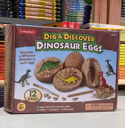 Dig & Discover Dinosaur Eggs - Set of 12 DIDUBUY