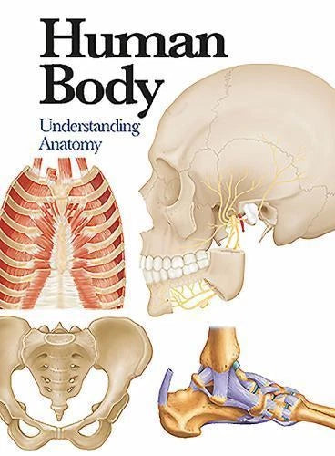 Human Body: Understanding Anatomy (Mini Encyclopedia)